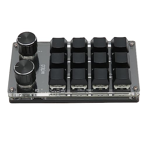 Vbestlife 12キーミニマクロメカニカルキーボード、USB有線DIYプログラマブルゲーミングキーボード、RGBライト付き、2つのノブ、コピーペーストショートカットキーパッド、ブルーシャフト、PC用ユニバーサル Vbestlifek8ea931iz2