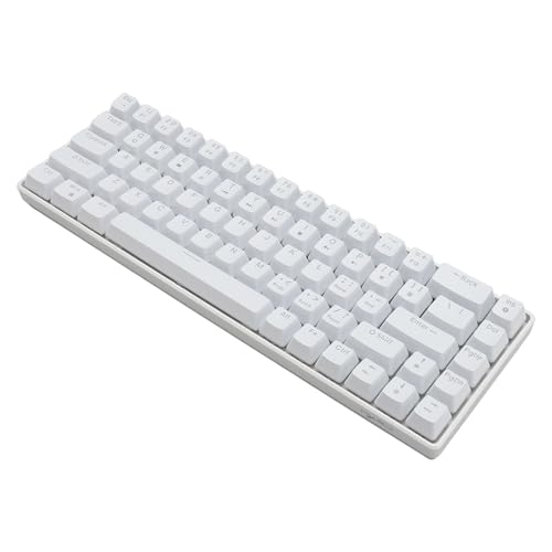 EBTOOLS 68 キー ハンニカル ゲーミング キーボード、赤いスイッチ、Ice バックライト、有線、20 照明モード - プロゲーマーのための Ulti ゲーム体験 EBTOOfh65tbescv