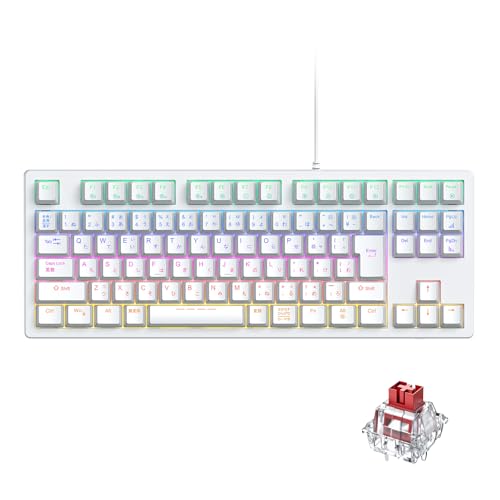 iClever ゲーミングキーボード テンキーレス 赤軸 メカニカル キーボード 日本語配列 有線 91キー 80%サイズ カスタマイズ 24種類 バックライト ゲーム/オフィス用 パソコンキーボード Windows対応 G06 (ホワイト)