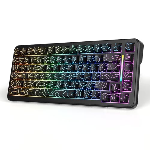 DHKING MAMBASNAKE M82HE ラピットトリガー ゲーミングキーボードメカニカル有線75% Type-CコンパクトRT0.1mm 8000hz