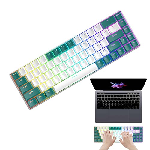 Phantasmia 68キー機械式キーボード - RGBバックライト 68キー有線ゲーミングキーボード、エルゴノミクスデザインのウィンドウズゲーマーPC 小型キーボード (ウォーターグリーンバージョン（緑軸）) Ph-JPW8988-VJP