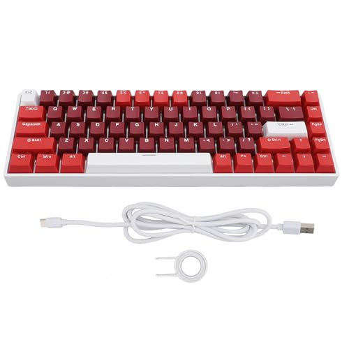 Yanmis 68キーメカニカルキーボード、3モードRGBバックライトゲーミングキーボード有線コンパクトゲーミングキーボードブルースイッチ Yanmi1ine4gtwv7