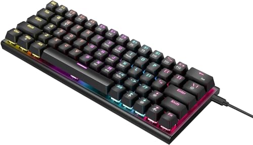 Lynrus メカニカルキーボード有線ゲーミングイルミネーションキーボードカラフルなバックライト付きカスタム63キーオフィスキーボード GD1WSW