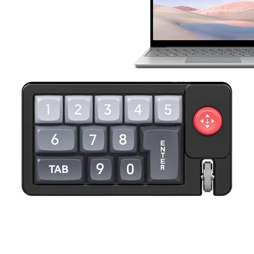 BEROZA カスタマイズ可能 プログラマブルキーパッド,RGBバックライト メカニカルキーボード ゲーミング - 有線ホットスワップ可能テンキー ジョイスティック付き 人間工学設計 PCゲーム・音楽制作向け xk19109