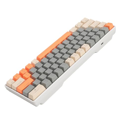 VIBRIPRIYA カスタム ゲーミング キーボード モジュラー メカニカル キーボード Abs Diy メカニカル キーボード キット 68 キー 2.4G ワイヤレス 65% レイアウト スイッチ ホット スワップ カスタム ゲーミング キーボード (白) JP117240712