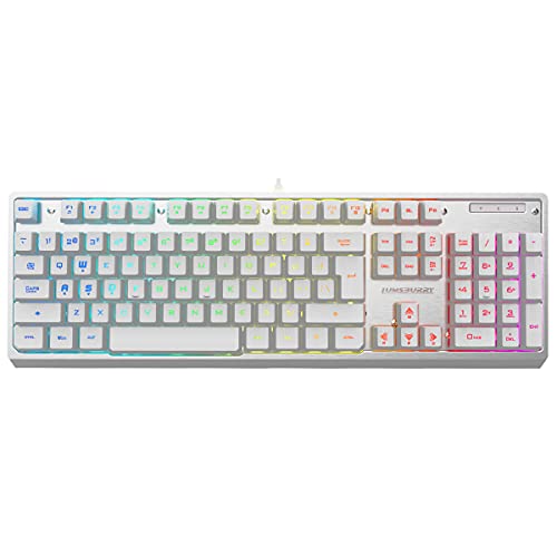 Lumsburry ラムズベリーレインボーLEDバックライト付きUSB有線オフィスゲーミングキーボード、ゴースト防止キーおよびマルチメディアコントロール（ホワイト）