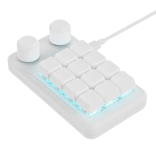 ZYHARUKO プログラム可能な 12 個のメカニカル ゲーミング キーボード、2 つのノブと RGB 照明 Type C ケーブル付き、カスタマイズ可能なメカニカル キーボード