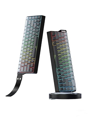DHKING ゲーミングキーボード ワイヤレス 三模 8000Hz ポーリングレート メカニカル キーボード RGB 音楽連動 18種 光害 低遅延 2.4GHz 有線 4000mAh PC PS5 Switch 対応 人間工学設計 フリップアップ フット付き (灰黒) K68