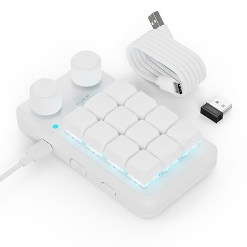 SIKAI CASE 2つノブ付け 片手キーボード マクロキーボード 12キー 3種接続 有線/ワイヤレス/Bluetooth接続 ゲーミングキーボード 3レイヤー メカニカル プログラム可能 RGB バックライト カスタマイズ可能 左手デバイス 赤軸 ミニ ショットカットキー USB-A&Type-C ポータブル イラストレーション＆ゲーム＆絵描き適用 (白)