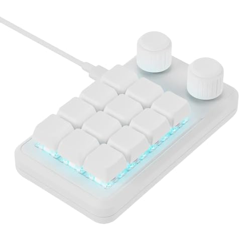 Hasuba 2 つのノブと RGB 照明タイプ C ケーブルが付いているプログラマブル 12 キー機械式ゲーミング キーボード
