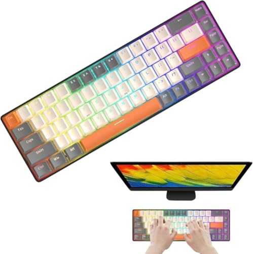 Lynrus 68キー機械式キーボード - RGBバックライト 68キー有線ゲーミングキーボード、エルゴノミクスデザインのウィンドウズゲーマーPC 小型キーボード (B) vsv6s6v