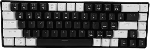 CTSHIZF ゲーミングキーボード メカニカルゲーミングキーボード 有線 ダブルカラー キーカバー 人間工学に基づいた 68 キー アイスブルー (白黒) efg8536
