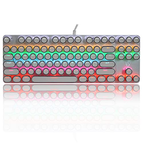 LUCKY SUNDAY ゲーミングキーボード USB有線 青軸 メカニカルキーボード 英語配列 87キー ゲーム用キーボード タイプライター風 RGBバックライト付き PCコンピューターノートパソコン Windows Mac対応（白） JNWS0316-W