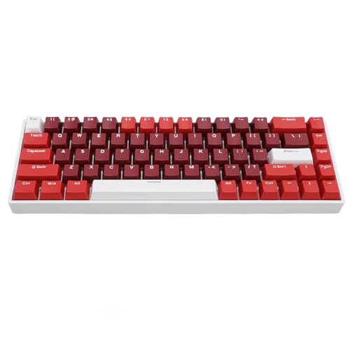 Cryfokt 60% メカニカル ゲーミング キーボード、ブルー LED バックライト付きコンパクト キーボード、ブルー スイッチ、RGB 照明効果付き 3 モード接続、長持ちするバッテリー Cryfontr5e08k29