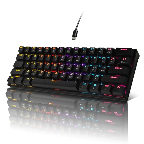 Bangsanth メカニカルキーボード 60%メカニカルゲーミングキーボード ブルースイッチとダイナミック19モードバックライト付き プラグアンドプレイ 61キー アンチゴースト PC Windows Mac ゲーマー オフィス タイピスト用