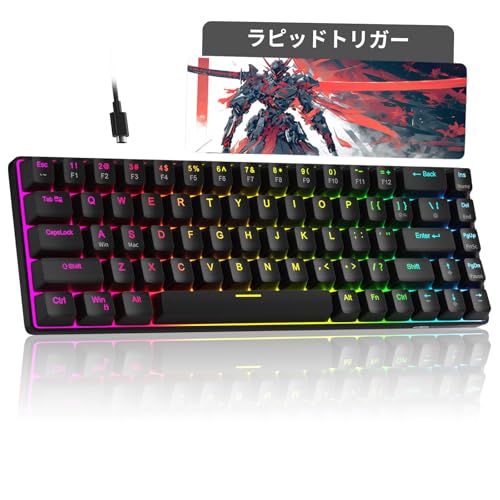 DHKING MageGee ラピッドトリガー キーボード | 68キー 英語配列 有線 RGB 60% サイズ | ゲーミングキーボード ラピッドトリガー | 磁気スイッチ メカニカルゲーミングキーボード | 超高速1.4mm作動 | 8000Hz ポーリングレート対応