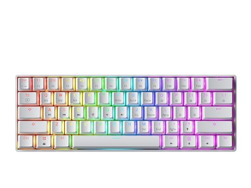 GK61 メカニカルゲーミングキーボード - 61キー マルチカラー RGB イルミネーション LED バックライト 有線 プログラム可能 PC/Macゲーマー用 (Gateron メカニカルブラック、ホワイト) GK61s