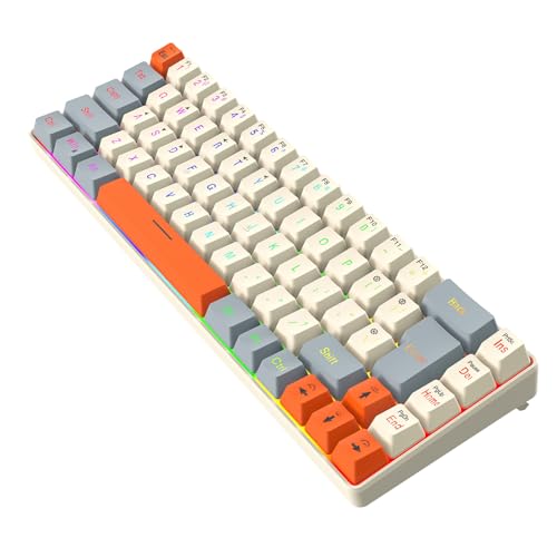RUMDS ARGB バックライト ゲーミングキーボード 68キー 人間工学に基づいたUSBワイヤーキーボード 取り外し可能なUSB Cケーブル付き PCユーザー用