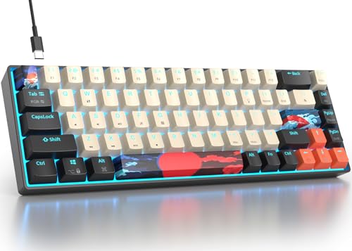 Fogruaden RGB 有線 60% キーボード メカニカル 68キー ゲーミングキーボード 60% レッドスイッチ付き 小型コンパクトメカニカルキーボード Win/Mac ノートパソコン PC ゲーマー用 (カーボン/68)
