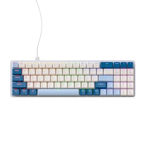 LKJHGFCVBG K65 メカニカルキーボード 78 キーカスタマイズされた E スポーツゲーミングボード USB ホットスワップ可能ゲームパッド 2 色成形ミングキャップ付き 64JDF