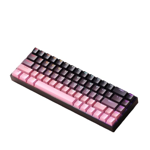 Pazeku RGB 照明、低遅延、フルキー サポートを備えたメカニカル ゲーミング キーボード。Windows/Android/iOS/Mac/Linux、Type-C、有線、赤、青、茶のスイッチをサポートします (赤いスイッチ,ブラックブラックベリーピンク)