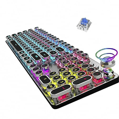 SEUNKWANG OUSEITECH ゲーミングキーボード メカニカルキーボード キーボード RGBバックライト全キー防衝突 有線接続 タイプライター 104キー英語配列 家庭用・ゲーミング用（青軸） TK100