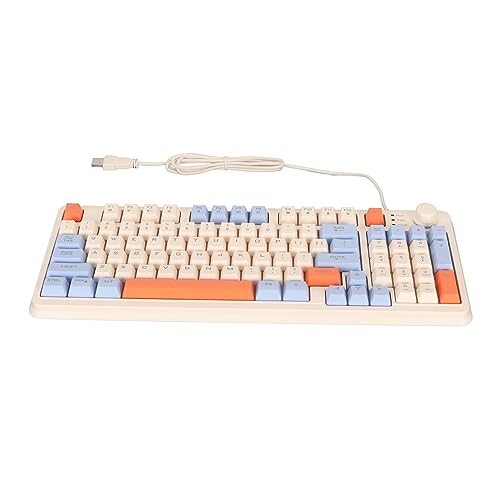 HOOLEEY ゲーミングキーボード 有線 94キー カラーバックライトキーボード デスクトップノートブック HOOLEEY065wesbyfa