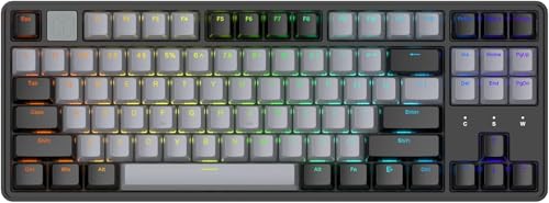 DHKING IROK NA87 MAG ラピッドトリガー 磁気スイッチ ゲーミングキーボード メカニカルキーボード TKL 80% 英語配列 ホットスワップ RGBバックライト プログラム可能 有線 8000Hz (Black, MAG)