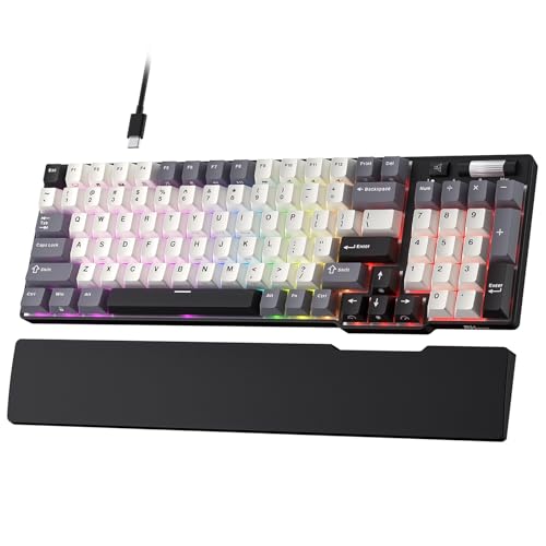 RK ROYAL KLUDGE C96 HE メカニカルゲーミングキーボード、ホール効果磁気スイッチ、ホットスワップ対応 90% 有線 RGB キーボード（リストレスト付き）、ラピッドトリガー調整可能アクチュエーション、8K ポーリングレート、Mac & Win 用 Pro Web ドライバー,US QWERTY