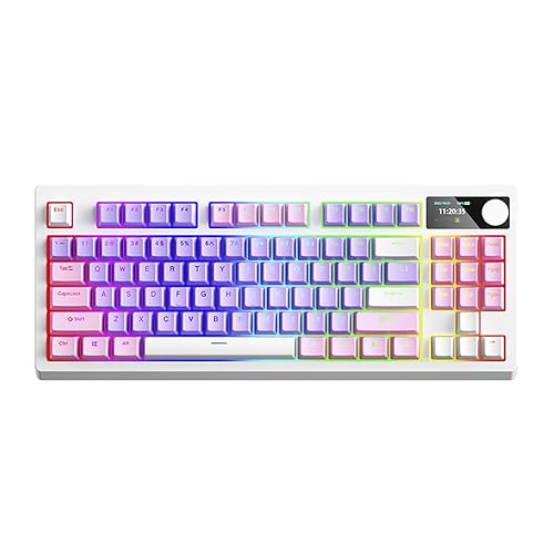 Tatsusen OUSEITECH YK830 メカニカルキーボード ゲーミングキーボード 80%テンキーレスキーボード 87キー 英語配列 OLED搭載 有機ELディスプレイ搭載 RGBバックライト MAC・WIN 2.4Ghz/Bluetooth/USB-C接続 家庭用・ゲーミング用（パープル 赤軸）