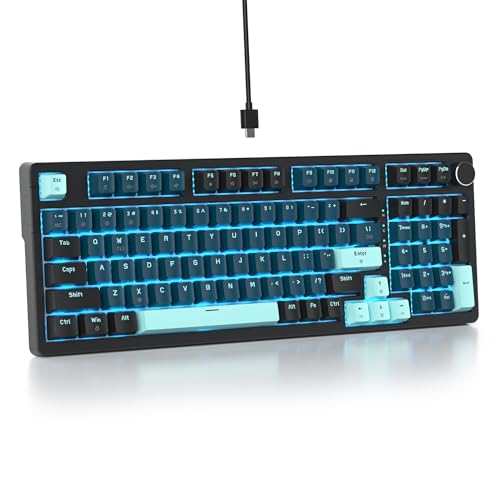 SbocKeeb 96%有線メカニカルゲーミングキーボード ガスケット構造 RGBバックライトキーボード コントロールノブ付き98キー ホットスワップ可能キーボード NKRO コンパクトキーボード ナンバーパッド付き Win/Mac(98 Monstor)用