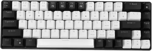 BEROZA ゲーミングキーボード メカニカルゲーミングキーボード 有線 ダブルカラー キーカバー 人間工学に基づいた 68 キー アイスブルー (白黒) he9556