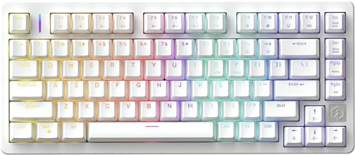 DHKING IROK ND75 ラピッドトリガー 磁気スイッチ ゲーミングキーボード メカニカルキーボード TKL 75% ホットスワップ RGBバックライト プログラム可能 有線 8000Hz ホワイト