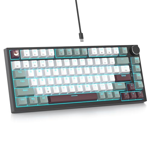 iTastatur Mist 75% 有線ゲーミングキーボード - ホットスワップ可能、ガスケットマウント、レッドスイッチ、RGBバックライト付き82キーTKLメカニカルキーボード、NKRO、PC/ノートパソコンWindowsゲーマー用
