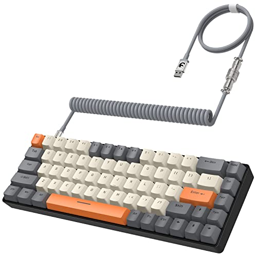 Yindiao T8 60%ゲーミングキーボード 68キー コンパクト ミニ 有線メカニカルキーボード 18クロマRGBバックライト ブルースイッチ USB Cコイルキーボードケーブル PC ノートパソコン Mac PS4 Xbox用 ダークグレー