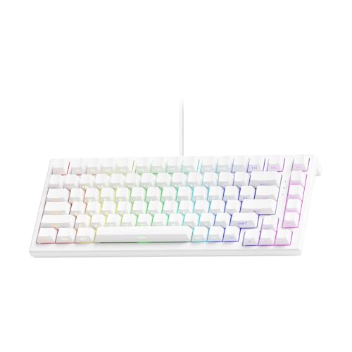 DHKING 【国内正規品】Akko(アッコ) TAC75 HE 75%英語配列 0.005mmラピッドトリガー対応 Astrolink 磁気スイッチ ホットスワップ テンキーレス サイドプリント ダブルショットPBT 8000Hz ポーリングレート 16000Hz スキャンレート SnapKey (SOCD)対応 ARGB対応 高コスパ ゲーミングキーボード ホワイト AKKO01-00016-WH