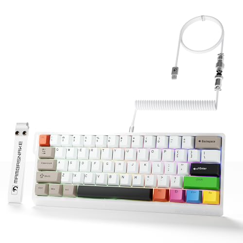 MAMBASNAKE X60HE ラピットトリガー ゲーミングキーボード 0.01mmRT 磁気スイッチ 8000hz ポーリングレート ワイヤレス HEセンサー 0.125ms 超低遅延 SnapKeys SOCD ノーデッドゾーン 60キー テンキーレス ホットスワップ RGB PBTキーキャップ MOBA/FPS用 【8Kコイルケーブル付き】【公式直営店】【技適認証済み】 カラフル