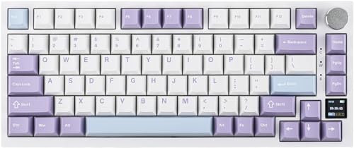 ゲーミングキーボード 75% ガスケット搭載 メカニカルキーボード TFTスクリーン 3モード(Bluetooth 5.1/2.4Gワイヤレス&Type-C有線) 消音フォーム搭載 (White Purple - OEM Profile) KEYWPOP5124