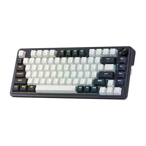 REDRAGON K673 PRO 75%ワイヤレスガスケットRGBゲーミングキーボード｜3モード｜81キー｜コンパクト｜メカニカルキーボード｜ホットスワップソケット付き｜専用ノブコントロール＆吸音パッド｜リニアレッドスイッチ