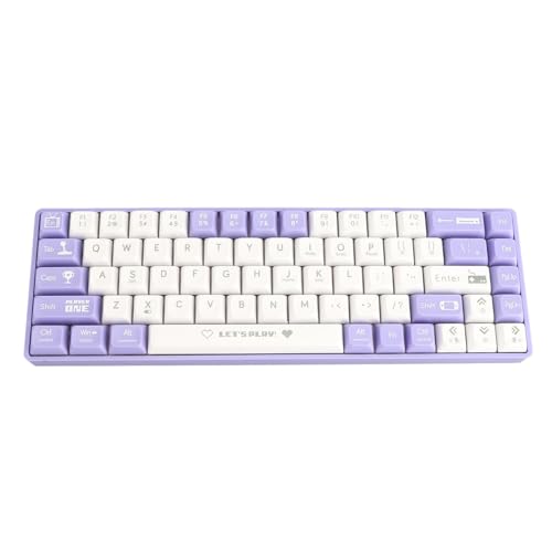 HHSSYYXX 65%キーボード、ゲーミングキーボード 65%ホットスワップ可能 ダイナミックバックライト レッドスイッチ メカニカルキーボード 68キー 有線メカニカルゲーミングキーボード Type Cデバイス用 /228/749 1986