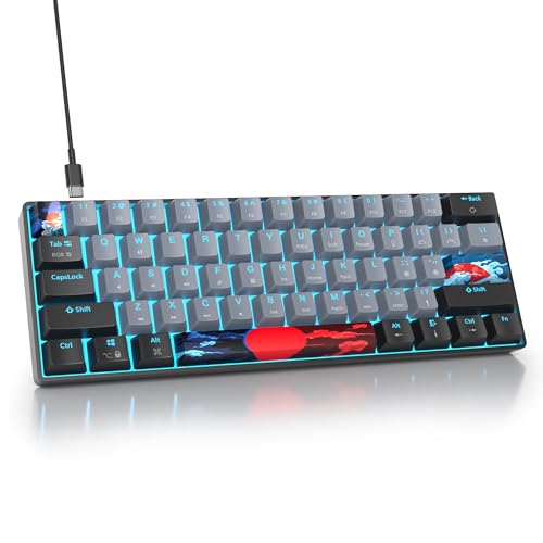SbocKeeb 60%メカニカルキーボード ブラックとグレー、コンパクトゲーミングRGBバックライト、61キーミニ、USB有線 Windows Mac ノートパソコン PC用(61ドルチ/レッドスイッチ)
