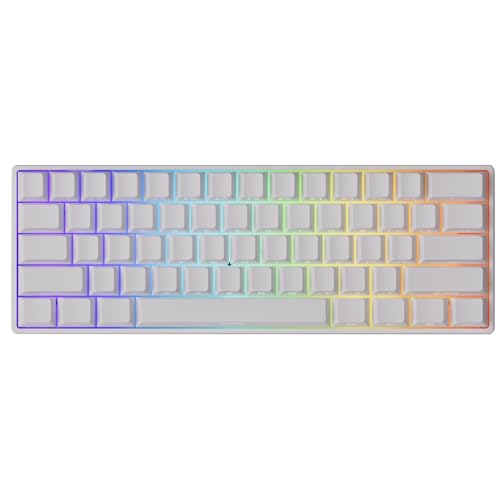 MonsGeek 【国内正規品】MonsGeek(モンスギーク) FUN60 Max SP 無線対応モデル HEセンサー 0.01mm ラピッドトリガー対応 磁気スイッチ Akko Glare Magnetic Switch 英語配列 テンキーレス サイドプリント 有線無線8K ホットスワップ SnapKeys (SOCD)対応 ARGB対応 高コスパ ゲーミングキーボード White AKKO01-00007-WH