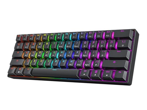 HK Gaming GK61HE 60% | 磁気メカニカルゲーミングキーボード | ラピッドトリガー 0.1mmステップ | 61キー マルチカラーRGB | 1kHz ポーリングレート | PC/Macゲーマー | USレイアウト (ブラック) hkg_gk61he_us_bk_clear
