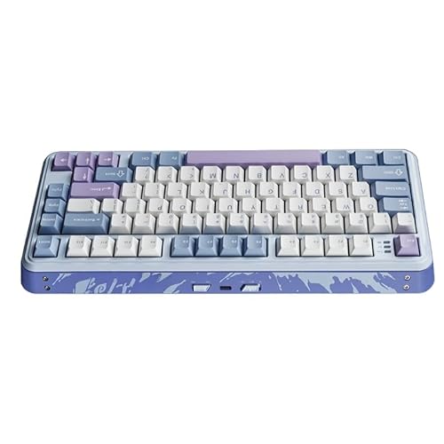 GRWOO 客製化 メカニカルキーボード 全キー熱交換可能 三模接続 有線/無線/Bluetooth 対応 ホットスワップ式 RGBバックライト 日本語配列対応 コンパクト設計 高速応答 プログラマブルキー 打鍵感 eスポーツ向け ゲーミングキーボード 自作カスタム可能 耐久性 PC用 (33.4x14.5x4.3cm,ブルー)