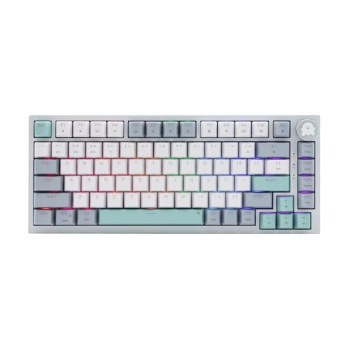 KUGEKI AK82 メカニカルキーボード ゲーミングキーボード テンキーなし Bluetooth/2.4Gワイヤレス/USB-C有線 ガスケット構造 RGBバックライト MAC・WIN 75%テンキーレス ABS 87キー 2000mAh 英語配列 オフィス/ゲーミング用 （赤軸） (ブルー)