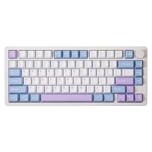 GK GAMAKAY TK75PRO 75% アルミ 筐体 キーボード KTT Hyacinth Switch プログラマブル ガスケットマウント 81キー 2.4GHz/BT5.0/USB-C ホットスワップ対応 NKRO RGB ゲーミング キーボード WIN/Mac用 (Violet)