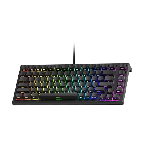 TQayosAZB 磁気スイッチキーボード 75% ゲーミングキーボードラピッドトリガー 0.005 ミリメートル 8K RGB 有線 TAC75 HE と互換性(Lord of Mysteries 1)