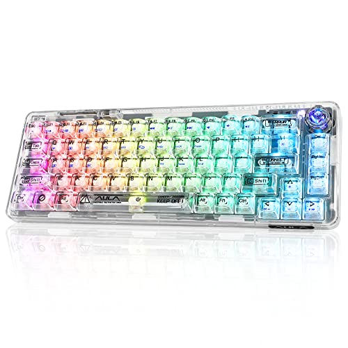 REUUY OUSEITECH LT84 メカニカルキーボード ホットスワップ ゲーミングキーボード 有機ELディスプレイ搭 75%テンキーレス RGBバックライト MAC・WIN 2.4ghz/Bluetooth/USB-C 家庭用・ゲーミング用(リ二ア軸)