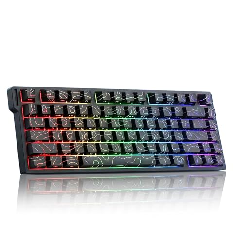 YOUCYYNB Xin-Meng Beat 75 トリプルモード磁気スイッチキーボード - 75%コンパクトレイアウト ホットスワップ可能なスイッチ RGBバックライトプロフェッショナルゲーミングキーボード ホワイト、ブラックの輪郭線(ブラック輪郭線)