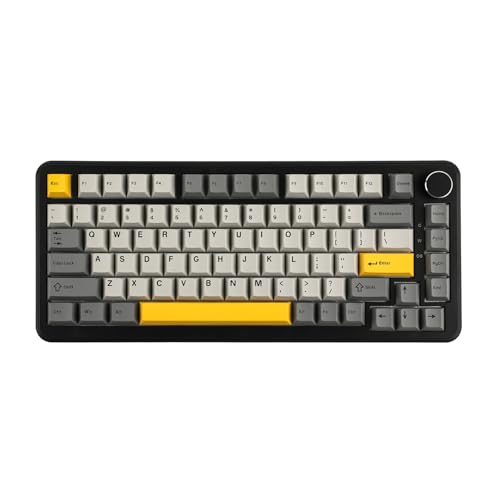 MechLands AJAZZ AK820 MAX HE ホール効果ゲーミングキーボード 調整可能なアクチュエーション スクリーン＆ノブ付き 3モードワイヤレスラピッド磁気キーボード クリーミーなガスケット RGBバックライト Win/Mac用NKRO (Black)